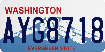 WA license plate AYG8718