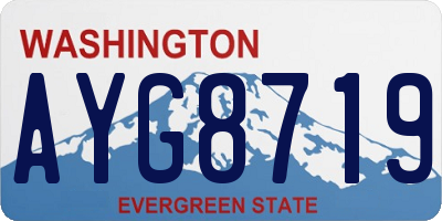 WA license plate AYG8719