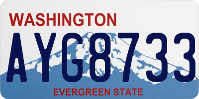 WA license plate AYG8733