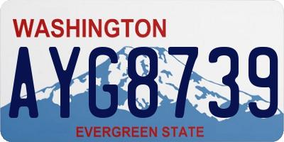 WA license plate AYG8739