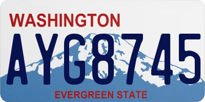 WA license plate AYG8745
