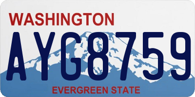 WA license plate AYG8759