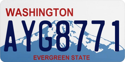 WA license plate AYG8771