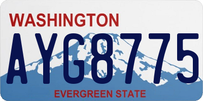 WA license plate AYG8775
