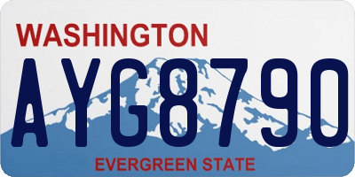 WA license plate AYG8790