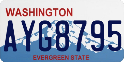 WA license plate AYG8795