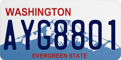 WA license plate AYG8801