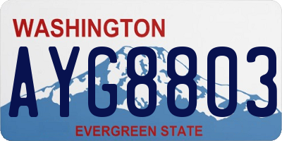 WA license plate AYG8803