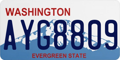 WA license plate AYG8809