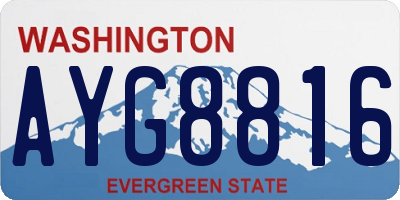 WA license plate AYG8816