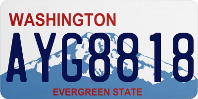 WA license plate AYG8818