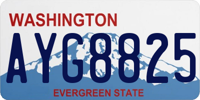 WA license plate AYG8825