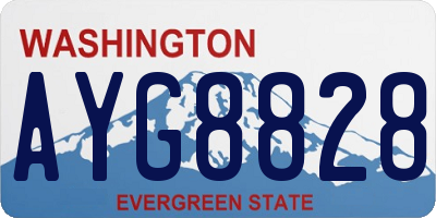 WA license plate AYG8828