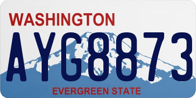 WA license plate AYG8873
