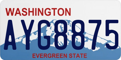WA license plate AYG8875