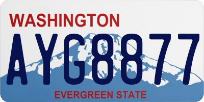 WA license plate AYG8877