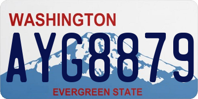 WA license plate AYG8879