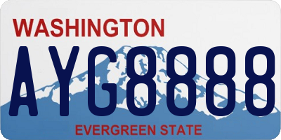 WA license plate AYG8888
