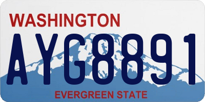 WA license plate AYG8891