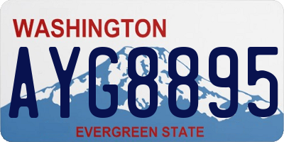 WA license plate AYG8895