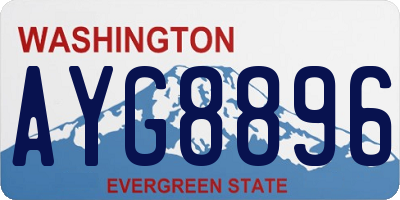 WA license plate AYG8896
