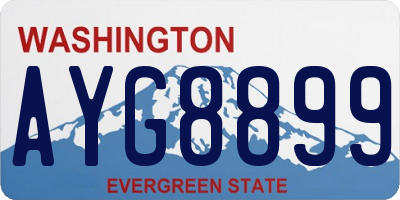 WA license plate AYG8899