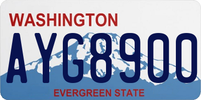 WA license plate AYG8900