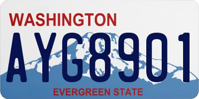 WA license plate AYG8901