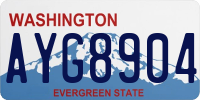 WA license plate AYG8904