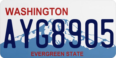 WA license plate AYG8905