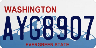 WA license plate AYG8907
