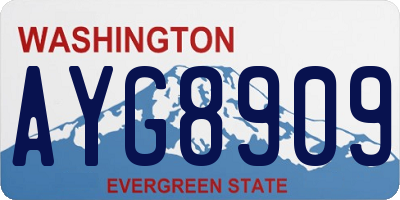 WA license plate AYG8909