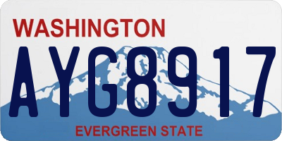 WA license plate AYG8917
