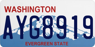 WA license plate AYG8919