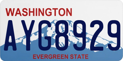 WA license plate AYG8929