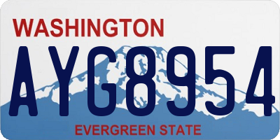WA license plate AYG8954