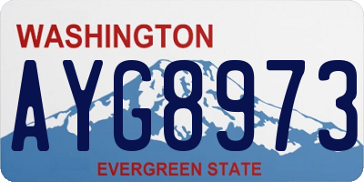 WA license plate AYG8973