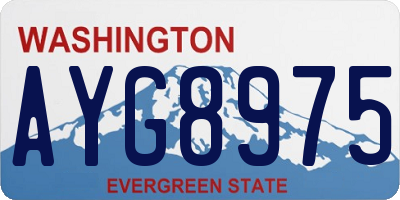 WA license plate AYG8975