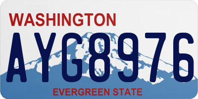 WA license plate AYG8976
