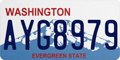 WA license plate AYG8979