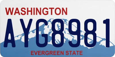 WA license plate AYG8981