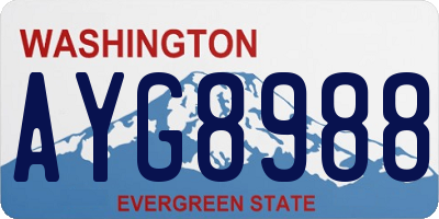 WA license plate AYG8988