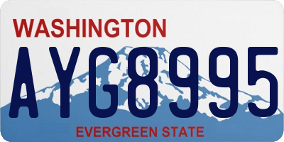 WA license plate AYG8995