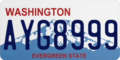 WA license plate AYG8999