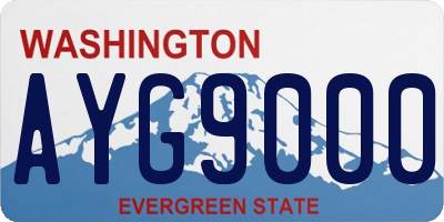 WA license plate AYG9000