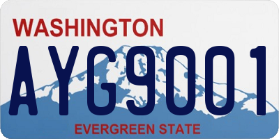 WA license plate AYG9001