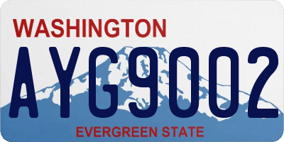 WA license plate AYG9002