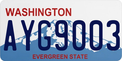 WA license plate AYG9003