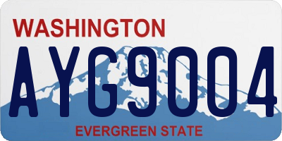 WA license plate AYG9004