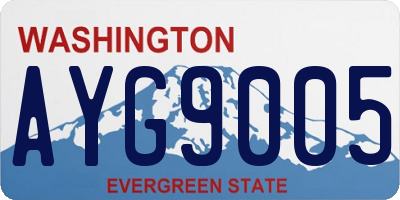 WA license plate AYG9005
